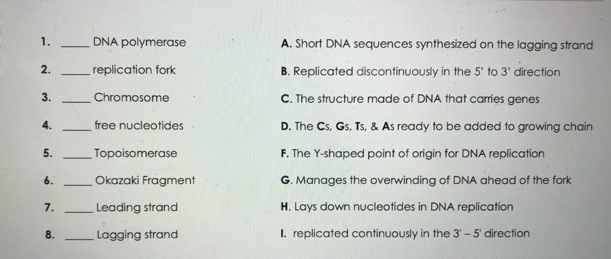 1.
DNA polymerase
A. Short DNA sequences synthesized on the lagging strand
2.
replication fork
B. Replicated discontinuously in the 5' to 3' direction
3.
Chromosome
C. The structure made of DNA that carries genes
4.
free nucleotides
D. The Cs, Gs, Ts, & As ready to be added to growing chain
5.
Topoisomerase
F. The Y-shaped point of origin for DNA replication
6.
Okazaki Fragment
G. Manages the overwinding of DNA ahead of the fork
7.
Leading strand
H. Lays down nucleotides in DNA replication
8.
Lagging strand
I. replicated continuously in the 3' - 5' direction
