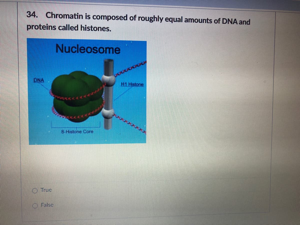 34. Chromatin is composed of roughly equal amounts of DNA and
proteins called histones.
Nucleosome
DNA
H1 Hstone
B Histone Core
True
O False
