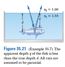 Ng = 1.00
ny = 1.33
d
Figure 35.21 (Example 35.7) The
apparent depth q of the fish is less
than the true depth d. All rays are
assumed to be paraxial.
