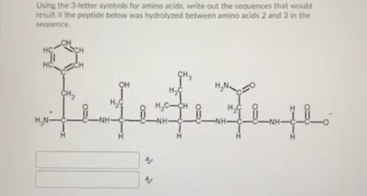 Using the 3-letter symbols for amino acids, write out the sequences that would
result if the peptide below was hydrolyzed between amino acids 2 and 3 in the
sequence.
CH
HÇ
HC
OH
H,N.
H
H,C-CH
H,N-
