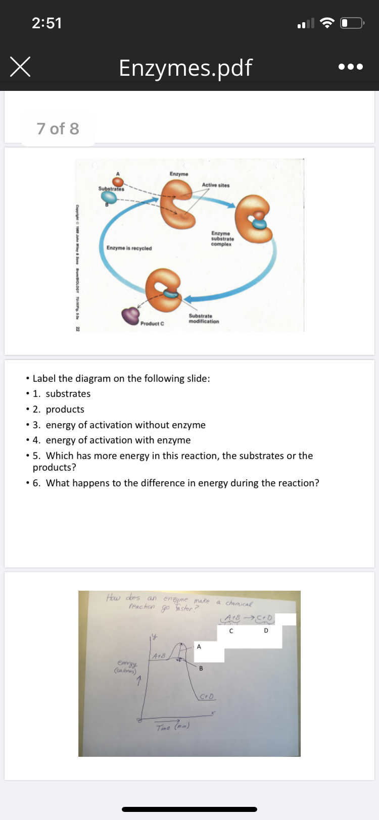 2:51
Enzymes.pdf
7 of 8
Enzyme
Active sites
Substrates
Enzyme
substrate
complex
Enzyme is recycled
Substrate
modification
Product C
• Label the diagram on the following slide:
• 1. substrates
• 2. products
• 3. energy of activation without enzyme
• 4. energy of activation with enzyme
• 5. Which has more energy in this reaction, the substrates or the
products?
• 6. What happens to the difference in energy during the reaction?
How dees an enzyme make
reaction go ster?
a chemical
A+B
evergy
Time (mim)
Copyrighte T Jhe eya Son uaOLOGr TU S 22
