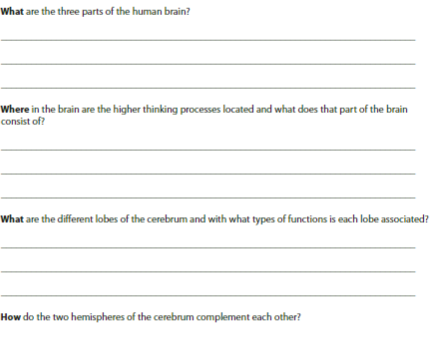 What are the three parts of the human brain?
Where in the brain are the higher thinking processes located and what does that part of the brain
consist of?
What are the different lobes of the cerebrum and with what types of functions is each lobe associated?
How do the two hemispheres of the cerebrum complement each other?
