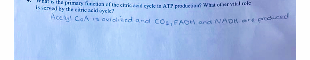wnat is the primary function of the citric acid cycle in ATP production? What other vital roie
is served by the citric acid cycle?
Acetyl CoA is oxidized and COa FAOH and NADH are
produced
