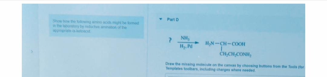 Part D
Show how the folowing amino acids might be formed
in the laboratory by reductive amination of the
appropriate o-ketoacid
NH,
H,N-CH-COOH
H3, Pd
ČH,CH,CONH,
Draw the missing molecule on the canvas by choosing buttons from the Tools (for
Templates toolbars, including charges where needed.
