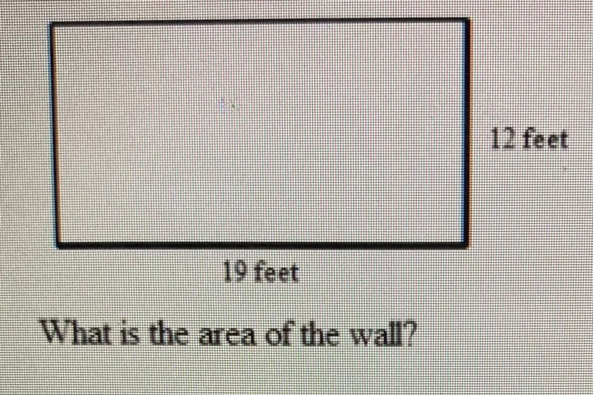 12 feet
19 feet
What is the area of the wall?
