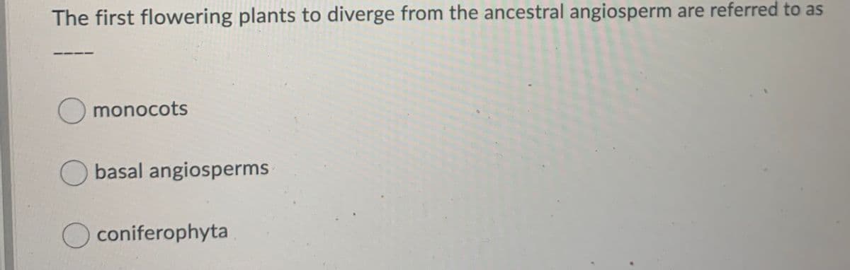 The first flowering plants to diverge from the ancestral angiosperm are referred to as
Omonocots
O basal angiosperms
O coniferophyta
