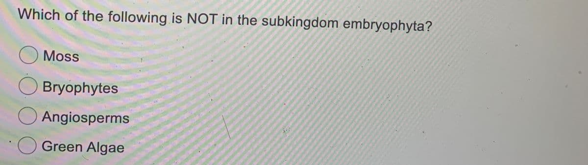 Which of the following is NOT in the subkingdom embryophyta?
O Moss
Bryophytes
O Angiosperms
OGreen Algae
