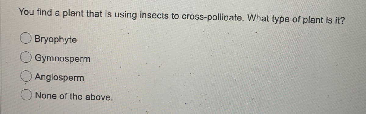 You find a plant that is using insects to cross-pollinate. What type of plant is it?
O Bryophyte
O Gymnosperm
O Angiosperm
O None of the above.
