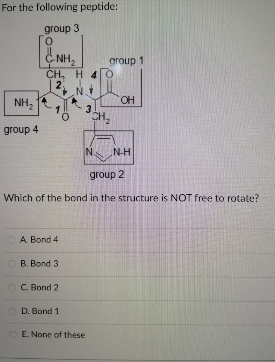 For the following peptide:
group 3
C-NH,
CH, H 40
2
group 1
NH,
HO.
CH
group 4
N.
N-H
group 2
Which of the bond in the structure is NOT free to rotate?
A. Bond 4
B. Bond 3
C. Bond 2
D. Bond 1
O E. None of these
3.
