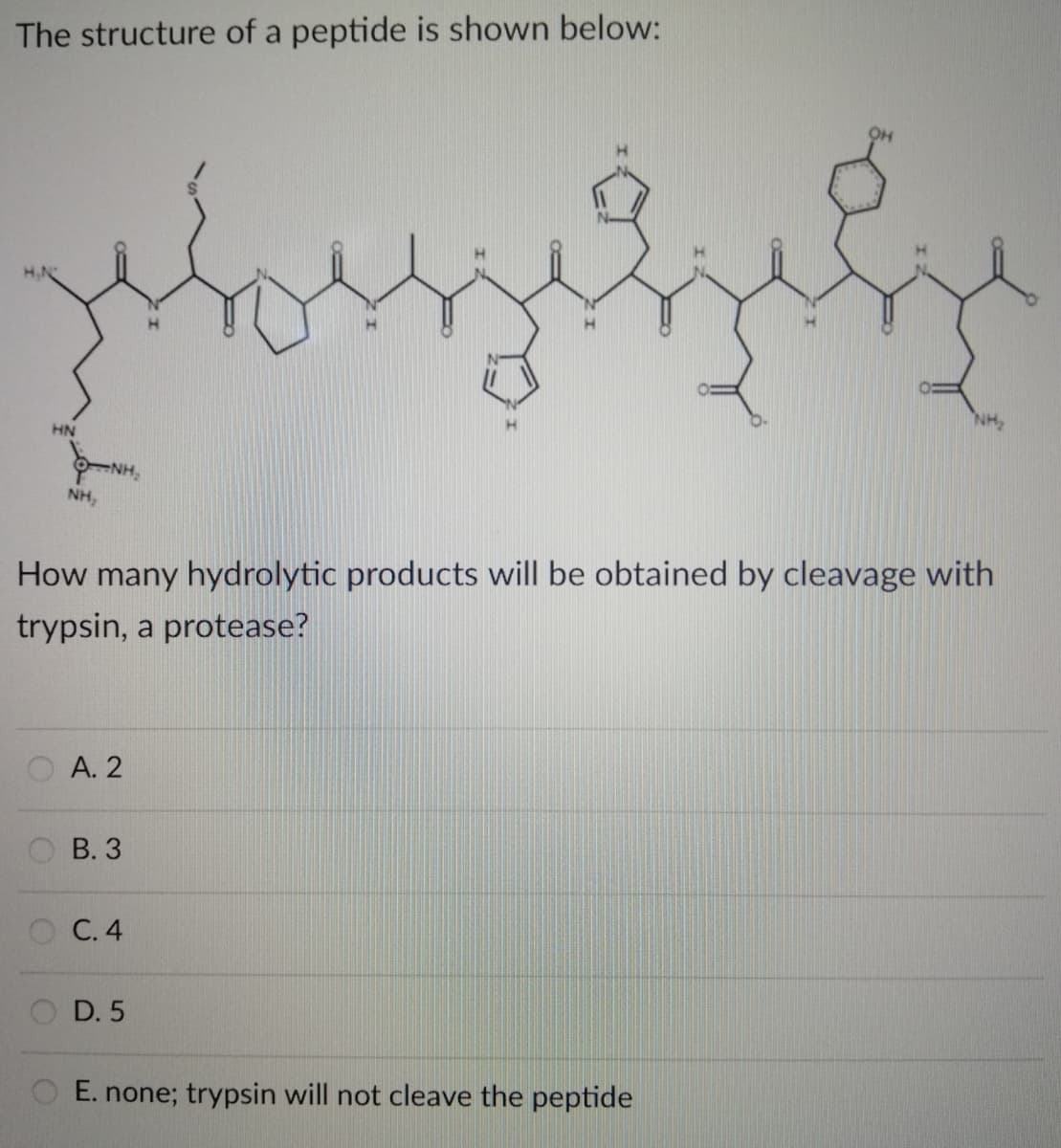 The structure of a peptide is shown below:
OH
HN
NH,
How many hydrolytic products will be obtained by cleavage with
trypsin, a protease?
А. 2
В. 3
О С.4
O D. 5
E. none; trypsin will not cleave the peptide

