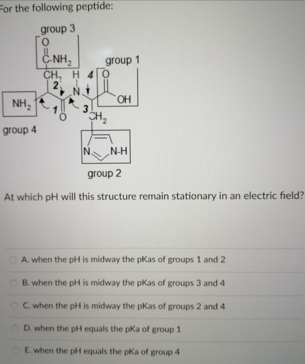 For the following peptide:
group 3
C-NH,
CH, H 4
group 1
HO.
NH,
group 4
N
N-H
group 2
At which pH will this structure remain stationary in an electric field?
O A. when the pH is midway the pKas of groups 1 and 2
O B. when the pH is midway the pKas of groups 3 and 4
OC. when the pH is midway the pKas of groups 2 and 4
D. when the pH equals the pKa of group 1
OE. when the pH equals the pKa of group 4
