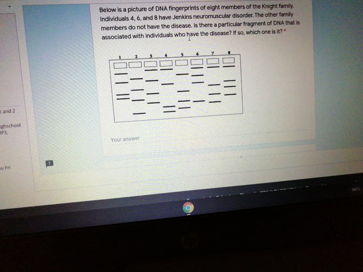 Below is a picture of DNA fingerprints of eight members of the Knight family.
Individuals 4, 6, and 8 have Jenkins neuromuscular disorder. The other family
members do not have the disease. Is there a particular fragment of DNA that is
associated with individuals who have the disease? If so, which one is it? *
and 2
ghschool
P3,
our answer
au Fri
INTL
