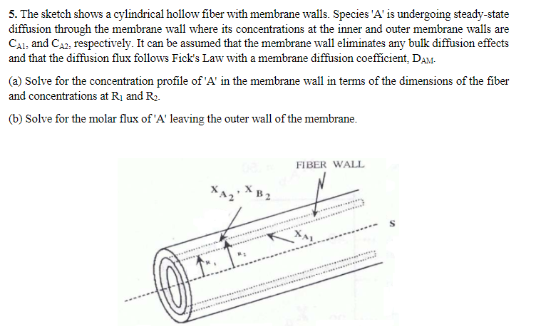 5. The sketch shows a cylindrical hollow fiber with membrane walls. Species 'A' is undergoing steady-state
diffusion through the membrane wall where its concentrations at the inner and outer membrane walls are
CAI, and CA2, respectively. It can be assumed that the membrane wall eliminates any bulk diffusion effects
and that the diffusion flux follows Fick's Law with a membrane diffusion coefficient, DAM-
(a) Solve for the concentration profile of 'A' in the membrane wall in terms of the dimensions of the fiber
and concentrations at R₁ and R₂.
(b) Solve for the molar flux of 'A' leaving the outer wall of the membrane.
XA2 XB2
FIBER WALL
*****