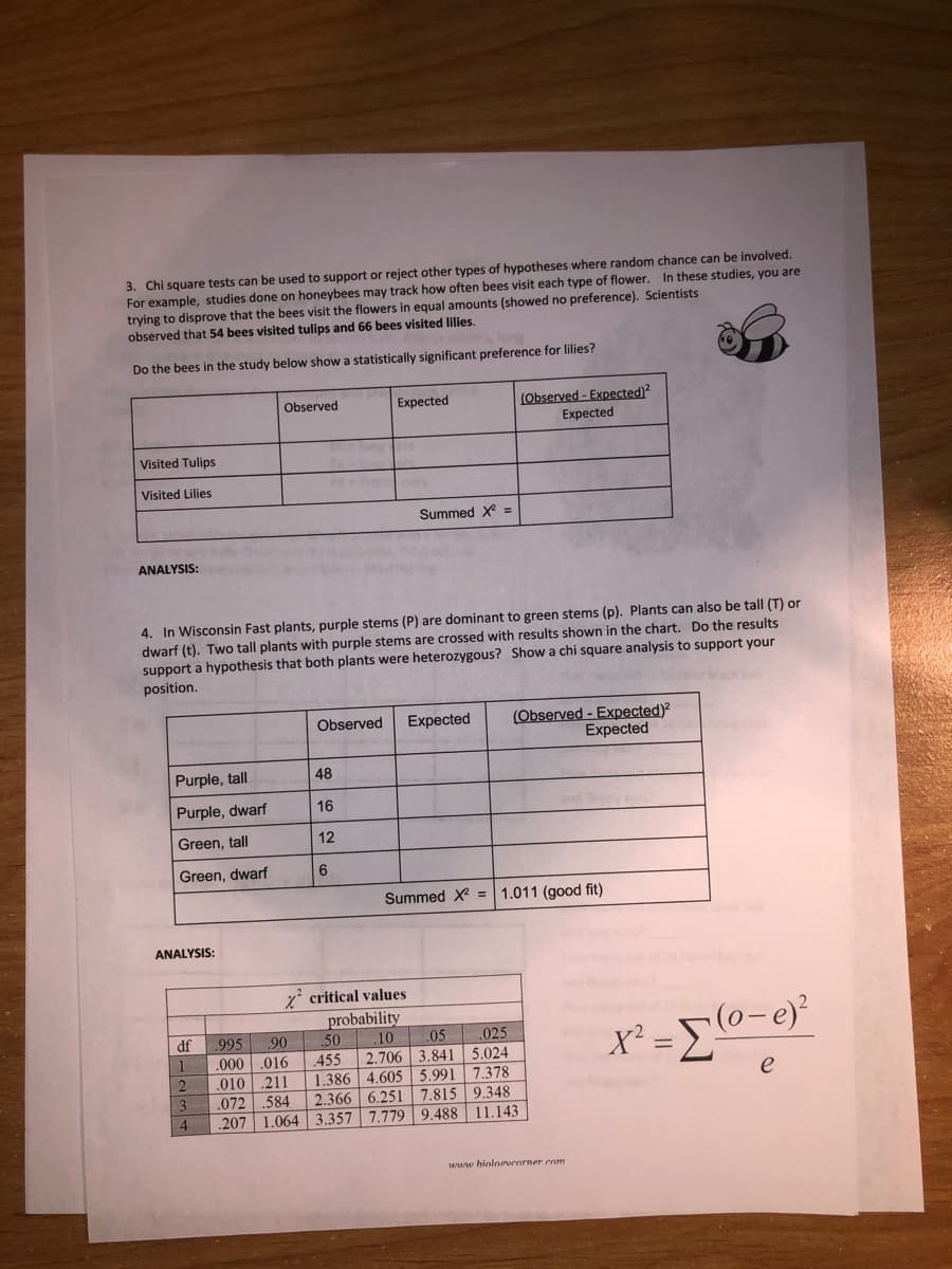 3. Chi square tests can be used to support or reject other types of hypotheses where random chance can be involved.
For example, studies done on honeybees may track how often bees visit each type of flower. In these studies, you are
trying to disprove that the bees visit the flowers in equal amounts (showed no preference). Scientists
observed that 54 bees visited tulips and 66 bees visited lilies.
Do the bees in the study below show a statistically significant preference for lilies?
(Observed - Expected)?
Expected
Observed
Expected
Visited Tulips
Visited Lilies
Summed X =
ANALYSIS:
4. In Wisconsin Fast plants, purple stems (P) are dominant to green stems (p). Plants can also be tall (T) or
dwarf (t). Two tall plants with purple stems are crossed with results shown in the chart. Do the results
support a hypothesis that both plants were heterozygous? Show a chi square analysis to support your
position.
(Observed - Expected)?
Expected
Observed
Expected
Purple, tall
48
Purple, dwarf
16
Green, tall
12
Green, dwarf
6.
Summed X = 1.011 (good fit)
ANALYSIS:
z* critical values
probability
(0-e)
X² =E
df
.995
.90
50
10
05
025
2.706 3.841
5.024
.455
1.386
2.366 6.251
.207 1.064 3.357 7.779 9.488 11.143
.000
.016
.010 .211
.072 .584
2
4.605 5.991
7.378
e
3
7.815 9.348
4
www hinlogvrorner com
