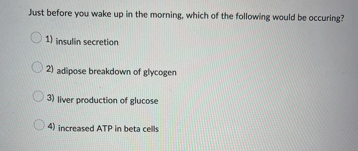 Just before you wake up in the morning, which of the following would be occuring?
1) insulin secretion
2) adipose breakdown of glycogen
3) liver production of glucose
4) increased ATP in beta cells
