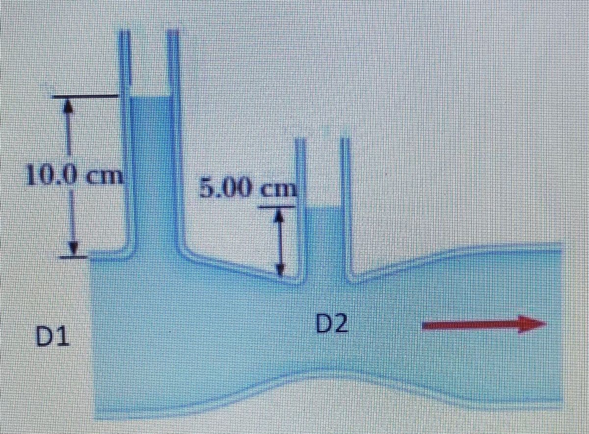 10.0cm
5.00 cm
D2
D1
