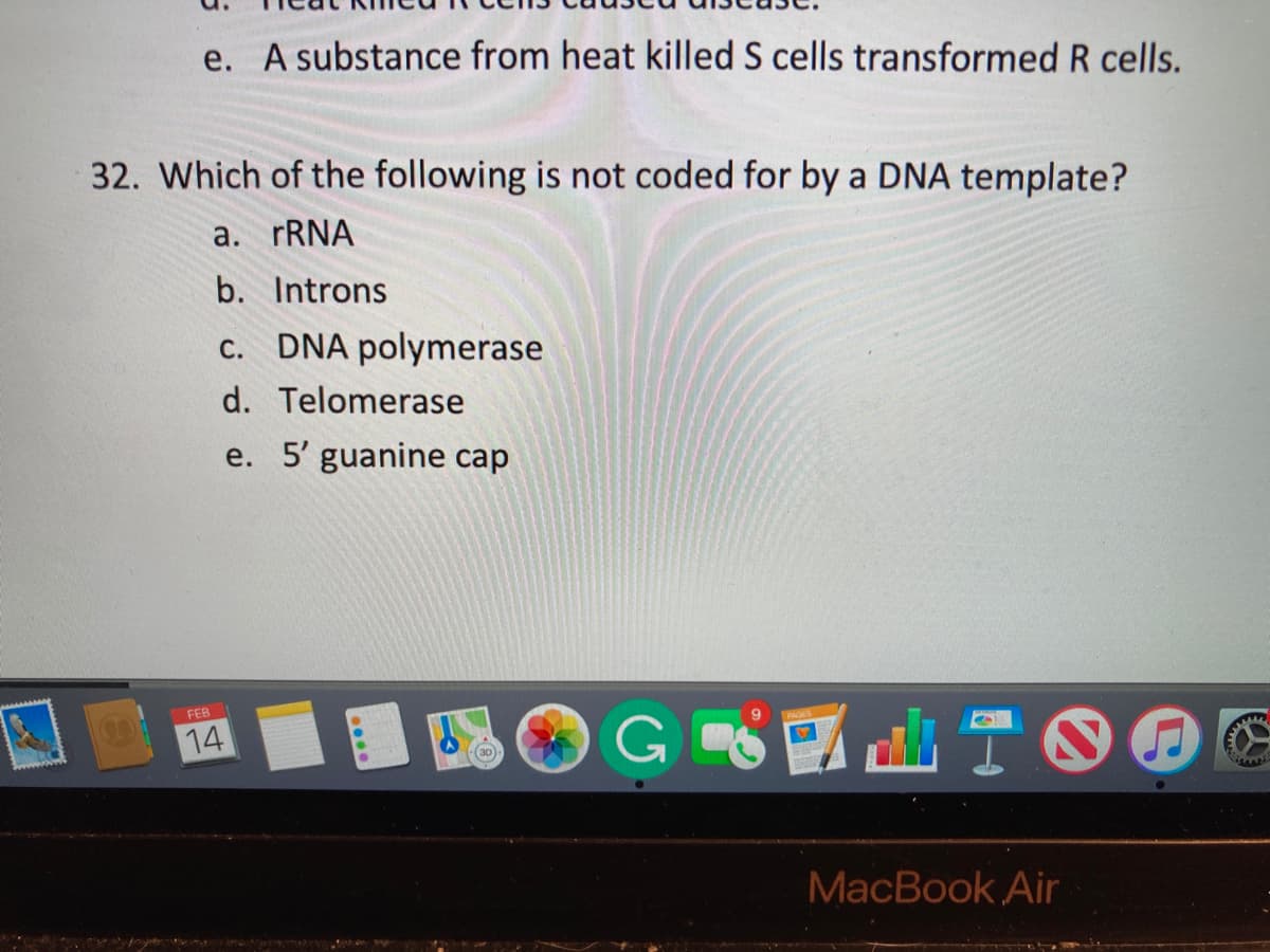 e. A substance from heat killed S cells transformed R cells.
32. Which of the following is not coded for by a DNA template?
a. FRNA
b. Introns
c. DNA polymerase
d. Telomerase
e. 5' guanine cap
FEB
14
MacBook Air
