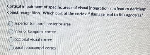 Cortical impairment of specific areas of visual integration can lead to deficient
object recognition. Which part of the cortex if damage lead to this agnosias?
superior temporal posterior area
inferior temporal cortex
occipital visual cortex
parahippocampal cortex