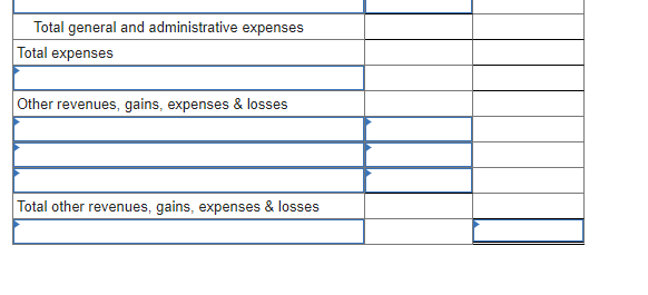 Total general and administrative expenses
Total expenses
Other revenues, gains, expenses & losses
Total other revenues, gains, expenses & losses