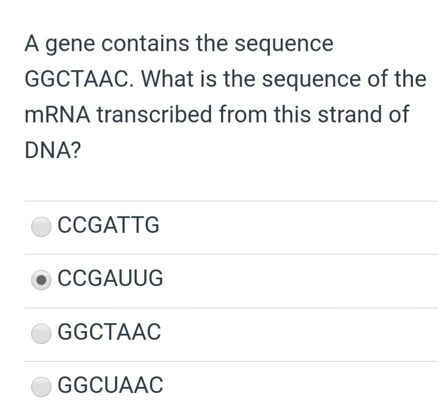 A gene contains the sequence
GGCTAAC. What is the sequence of the
MRNA transcribed from this strand of
DNA?
CCGATTG
CCGAUUG
GGCTAAC
GGCUAAC
