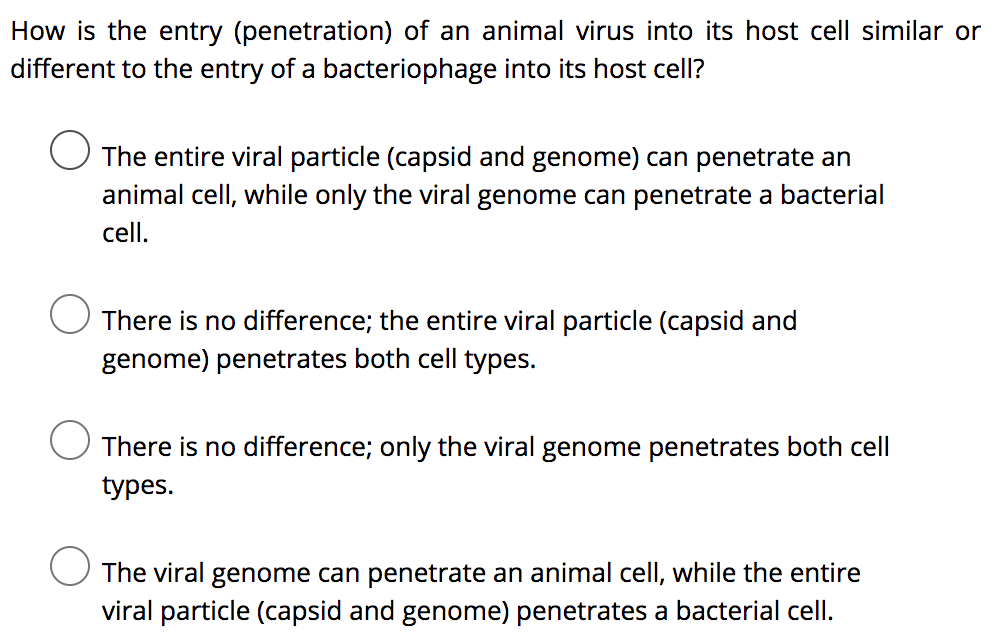 How is the entry (penetration) of an animal virus into its host cell similar or
different to the entry of a bacteriophage into its host cell?
The entire viral particle (capsid and genome) can penetrate an
animal cell, while only the viral genome can penetrate a bacterial
cell.
There is no difference; the entire viral particle (capsid and
genome) penetrates both cell types.
There is no difference; only the viral genome penetrates both cell
types.
The viral genome can penetrate an animal cell, while the entire
viral particle (capsid and genome) penetrates a bacterial cell.
