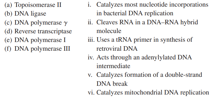 (a) Topoisomerase II
(b) DNA ligase
(c) DNA polymerase y
(d) Reverse transcriptase
(e) DNA polymerase I
(f) DNA polymerase III
i. Catalyzes most nucleotide incorporations
in bacterial DNA replication
ii. Cleaves RNA in a DNA–RNA hybrid
molecule
iii. Uses a tRNA primer in synthesis of
retroviral DNA
iv. Acts through an adenylylated DNA
intermediate
v. Catalyzes formation of a double-strand
DNA break
vi. Catalyzes mitochondrial DNA replication

