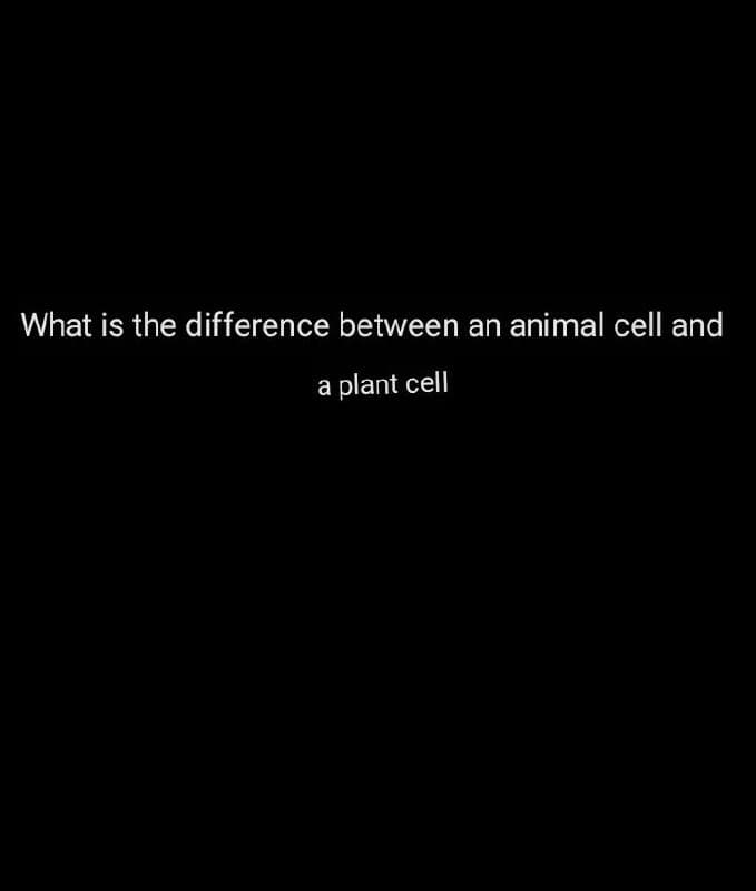 What is the difference between an animal cell and
a plant cell
