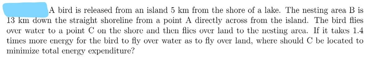 A bird is released from an island 5 km from the shore of a lake. The nesting area B is
13 km down the straight shoreline from a point A directly across from the island. The bird flies
over water to a point C on the shore and then flics over land to the nesting arca. If it takes 1.4
times more energy for the bird to fly over water as to fly over land, where should C be located to
minimize total energy expenditure?
