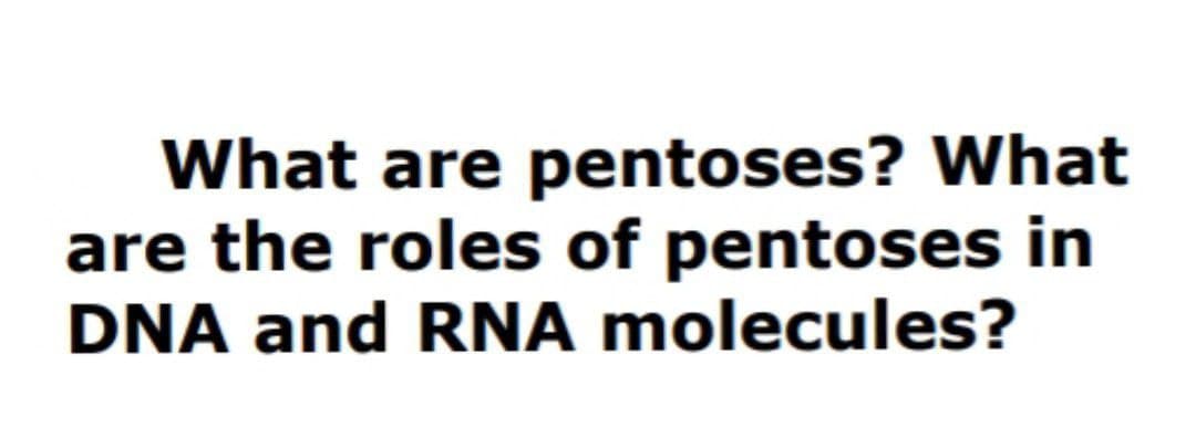 What are pentoses? What
are the roles of pentoses in
DNA and RNA molecules?
