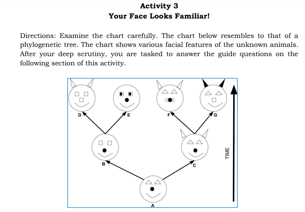 Activity 3
Your Face Looks Familiar!
Directions: Examine the chart carefully. The chart below resembles to that of a
phylogenetic tree. The chart shows various facial features of the unknown animals.
After your deep scrutiny, you are tasked to answer the guide questions on the
following section of this activity.
A A
D
F
TIME
