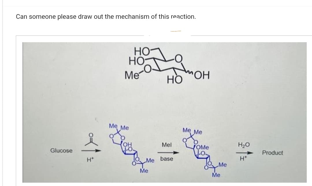 Can someone please draw out the mechanism of this reaction.
Glucose
са
H+
но-
но-
Me
Me Me
OH
10.
Me
Me
но
Mel
base.
ОН
Me Me
OMe
LO.
Me
Me
H₂O
H+
Product