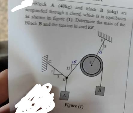 -Block A (40kg) and block B (mkg) are
suspended through a chord, which is in equilibrium
as shown in figure (1). Determine the mass of the
Block B and the tension in cord EF.
D
12
A
16
Figure (1)
B