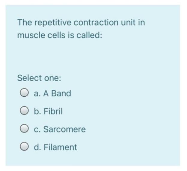 The repetitive contraction unit in
muscle cells is called:
Select one:
O a. A Band
O b. Fibril
O c. Sarcomere
O d. Filament

