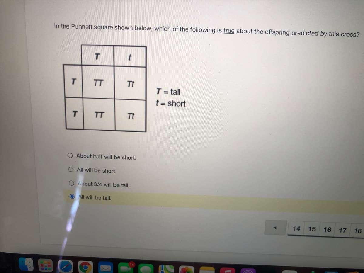 In the Punnett square shown below, which of the following is true about the offspring predicted by this cross?
T
TT
Tt
T= tall
t = short
T.
TT
Tt
O About half will be short.
O All will be short.
O About 3/4 will be tall.
O All will be tall.
14
15
16
17
18
