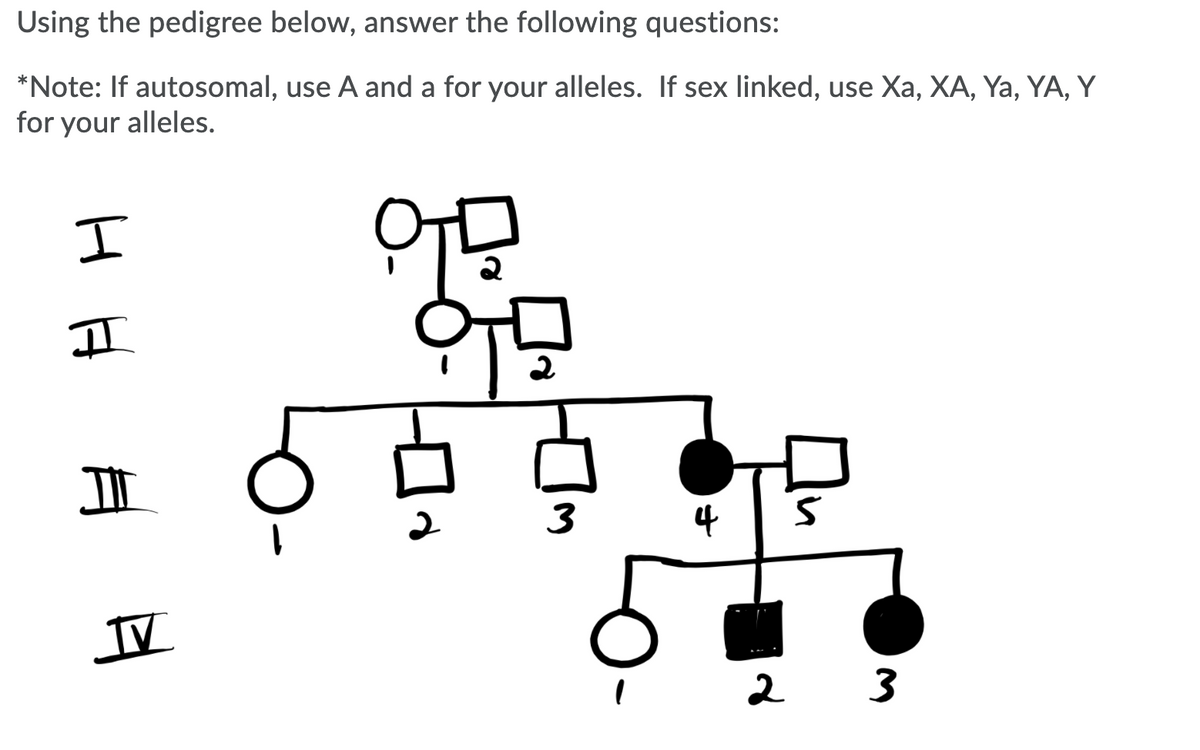 Using the pedigree below, answer the following questions:
*Note: If autosomal, use A and a for your alleles. If sex linked, use Xa, XA, Ya, YA, Y
for your alleles.
II
3
4
IV
2 3
HH
