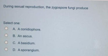 During sexual reproduction, the zygospore fungi produce
Select one:
O A A conidiophore.
O B. An ascus.
C. A basidium.
D. A sporangium.
