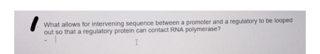What allows for intervening sequence between a promoter and a regulatory to be looped
out so that a regulatory protein can contact RNA polymerase?
