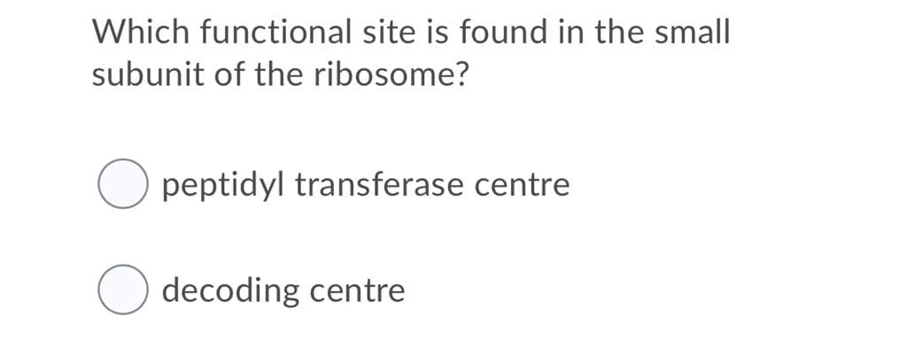 Which functional site is found in the small
subunit of the ribosome?
O peptidyl transferase centre
decoding centre
