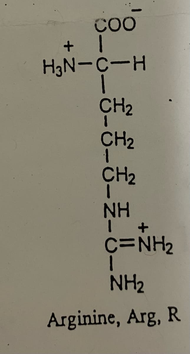 COO
+ 1
H₂N-C-H
1
_ƒ_ƒ_ƒ_ƒ˜¨Ú_£
C=NH2
Arginine, Arg, R