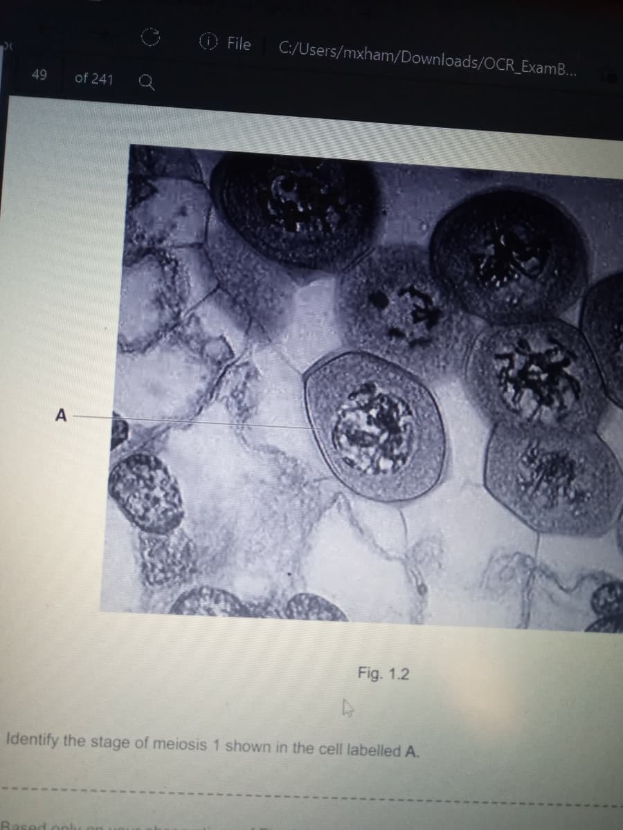 O File
C:/Users/mxham/Downloads/OCR_ExamB...
49
of 241
Fig. 1.2
Identify the stage of meiosis 1 shown in the cell labelled A.
Based onh
