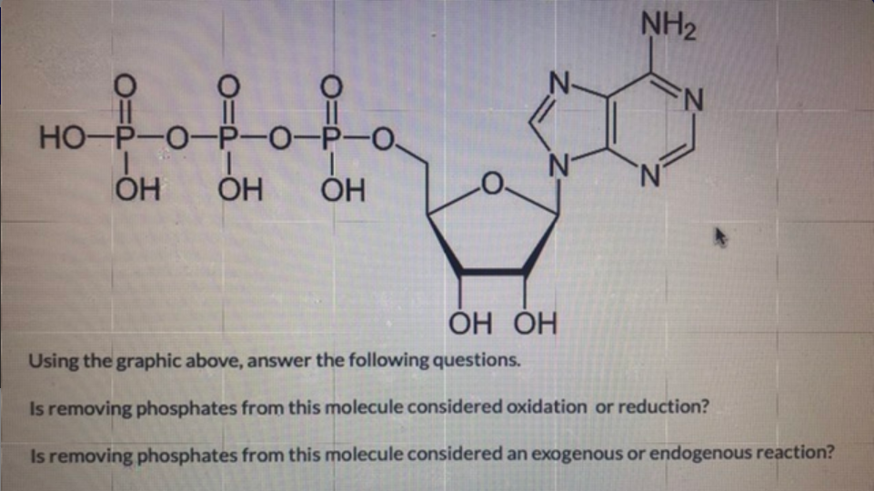 NH2
fofota
HO-P-
ÓH
ОН ОН
Using the graphic above, answer the following questions.
Is removing phosphates from this molecule considered oxidation or reduction?
Is removing phosphates from this molecule considered an exogenous or endogenous reaction?

