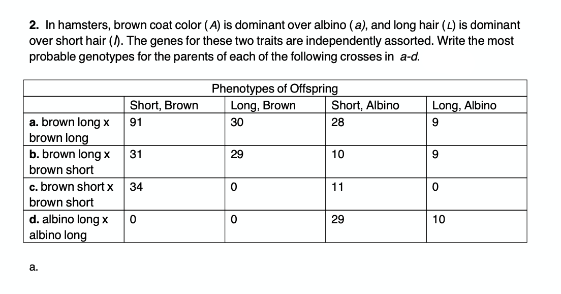 2. In hamsters, brown coat color (A) is dominant over albino (a), and long hair (L) is dominant
over short hair (). The genes for these two traits are independently assorted. Write the most
probable genotypes for the parents of each of the following crosses in a-d.
Phenotypes of Offspring
Long, Brown
Short, Brown
Short, Albino
Long, Albino
a. brown long x
brown long
b. brown long x
91
30
28
9
31
29
10
brown short
c. brown short x
34
11
brown short
d. albino long x
albino long
29
10
а.
