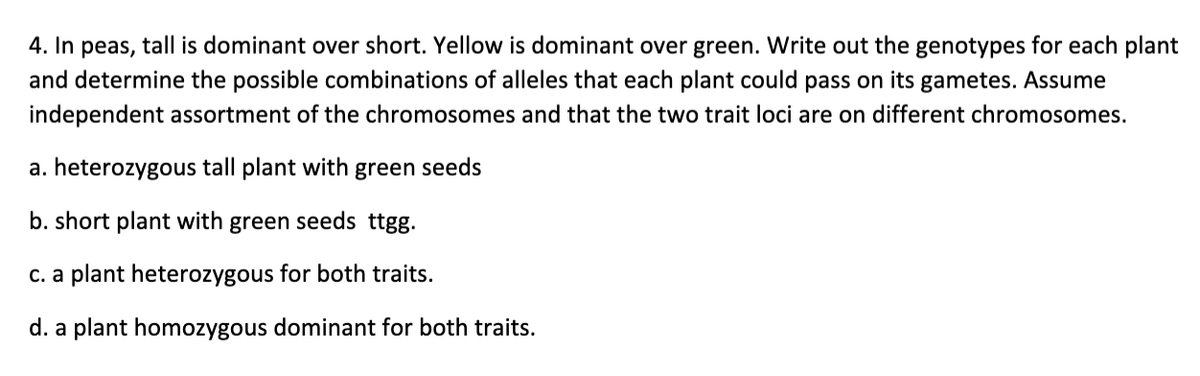 4. In peas, tall is dominant over short. Yellow is dominant over green. Write out the genotypes for each plant
and determine the possible combinations of alleles that each plant could pass on its gametes. Assume
independent assortment of the chromosomes and that the two trait loci are on different chromosomes.
a. heterozygous tall plant with green seeds
b. short plant with green seeds ttgg.
c. a plant heterozygous for both traits.
d. a plant homozygous dominant for both traits.
