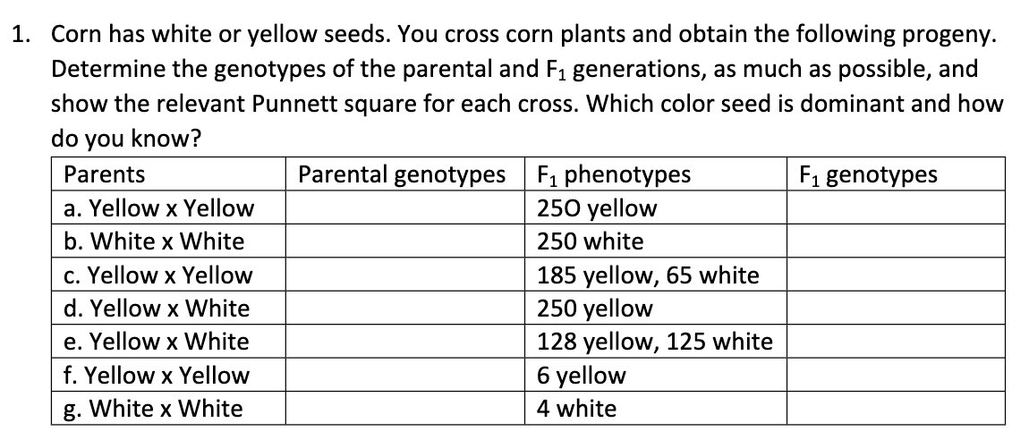 1. Corn has white or yellow seeds. You cross corn plants and obtain the following progeny.
Determine the genotypes of the parental and F1 generations, as much as possible, and
show the relevant Punnett square for each cross. Which color seed is dominant and how
do you know?
Parental genotypes F1 phenotypes
250 yellow
Parents
F1 genotypes
a. Yellow x Yellow
b. White x White
250 white
185 yellow, 65 white
250 yellow
128 yellow, 125 white
6 yellow
c. Yellow x Yellow
d. Yellow x White
e. Yellow x White
f. Yellow x Yellow
g. White x White
4 white
