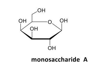 HO
OH
OH
OH
ÓH
monosaccharide A
