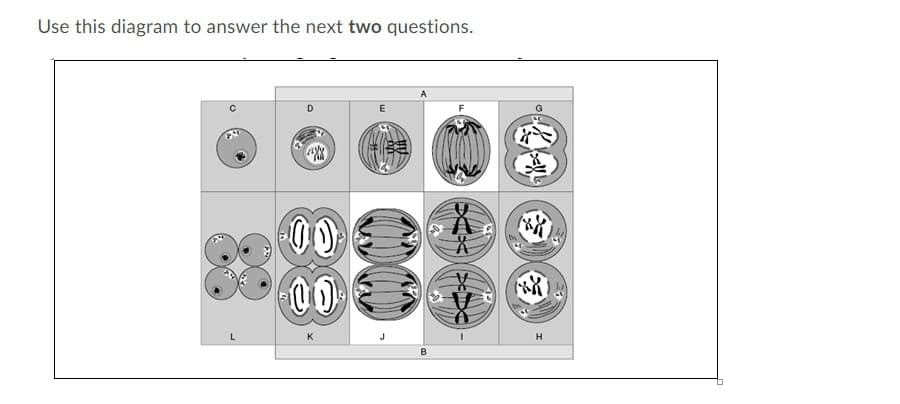 Use this diagram to answer the next two questions.
K
B
%23
