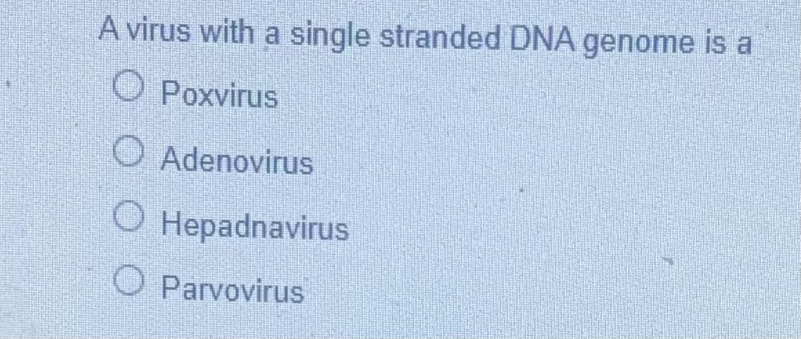 A virus with a single stranded DNA genome is a
O Poxvirus
O Adenovirus
O Hepadnavirus
O Parvovirus
