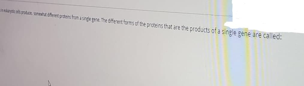 nekaystc els produces somenhat difrent proteins from a single gene. The different forms of the proteins that are the products of a single gene are called:
