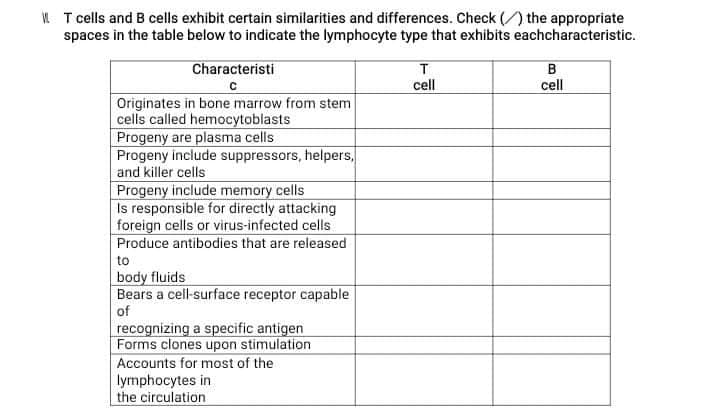 L T cells and B cells exhibit certain similarities and differences. Check () the appropriate
spaces in the table below to indicate the lymphocyte type that exhibits eachcharacteristic.
Characteristi
cell
cell
Originates in bone marrow from stem
cells called hemocytoblasts
Progeny are plasma cells
Progeny include suppressors, helpers,
and killer cells
Progeny include memory cells
Is responsible for directly attacking
foreign cells or virus-infected cells
Produce antibodies that are released
to
body fluids
Bears a cell-surface receptor capable
of
recognizing a specific antigen
Forms clones upon stimulation
Accounts for most of the
lymphocytes in
the circulation
