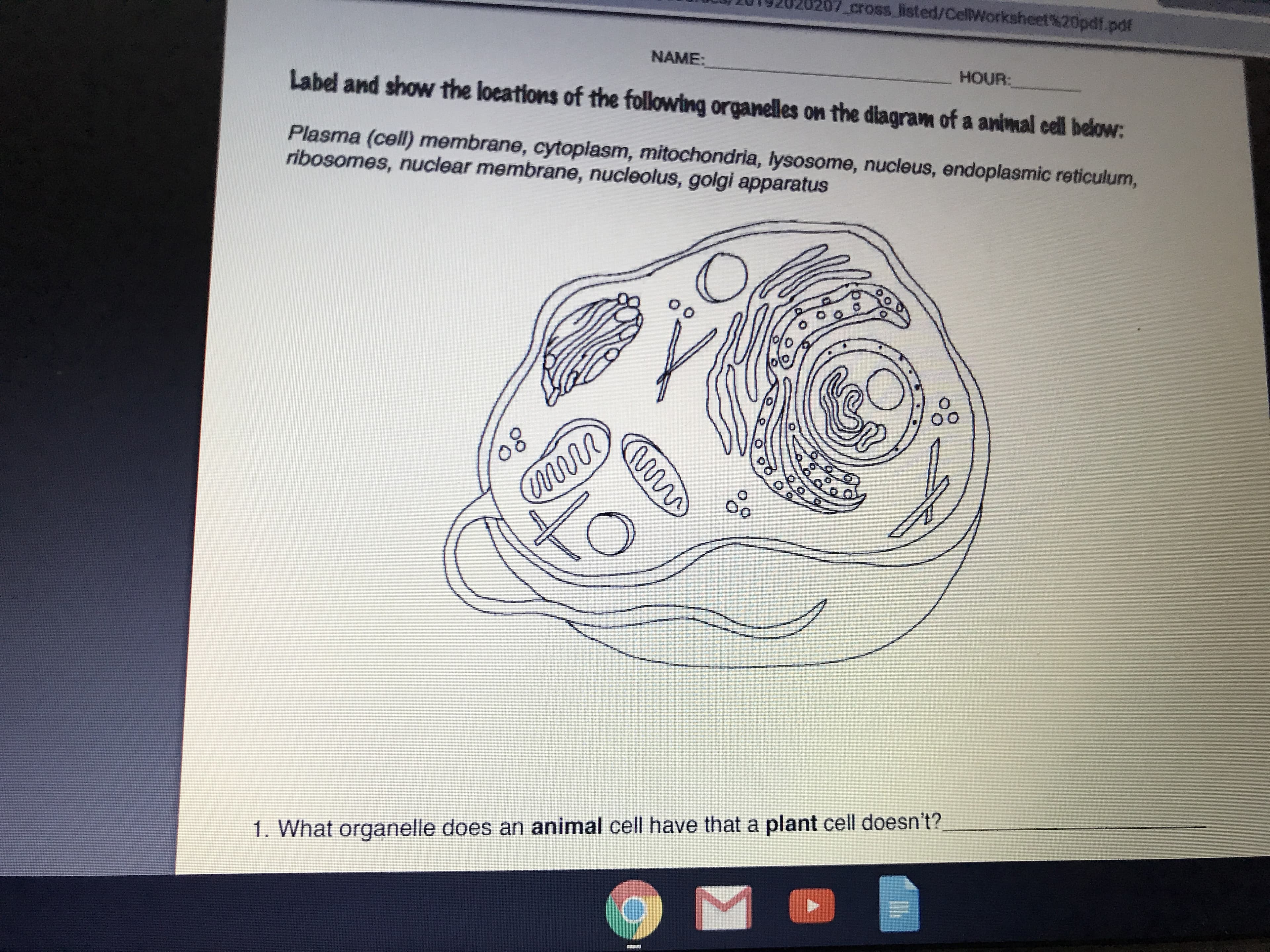 zing2020207-cross listed/Cel Worksheet%20pdf.pdf
NAME:
HOUR:
Label and show the loeations of the following organelles on the diagram of a animal el below
Plasma (cell) membrane, cytoplasm, mitochondria, lysosome, nucleus, endoplasmic reticulum,
ribosomes, nuclear membrane, nucleolus, golgi apparatus
Oo
0
1. What organelle does an animal cell have that a plant cell doesn't?,
